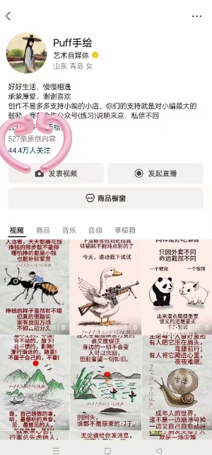 图片[2]-Puff手绘视频号分成项目，三天过分成计划，简单易上手，适合新手-赛德副业库