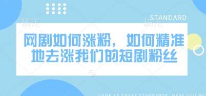 网剧如何涨粉,如何精准地去涨我们的短剧粉丝-赛德副业库