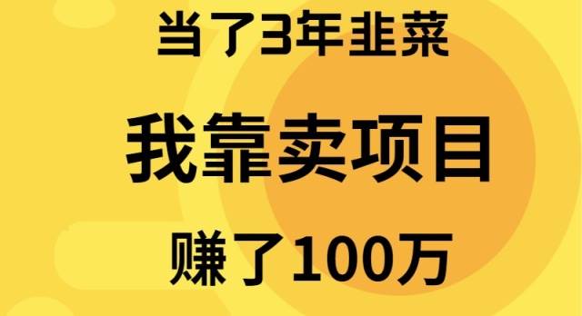 （9100期）当了3年韭菜，我靠卖项目赚了100万-赛德副业库