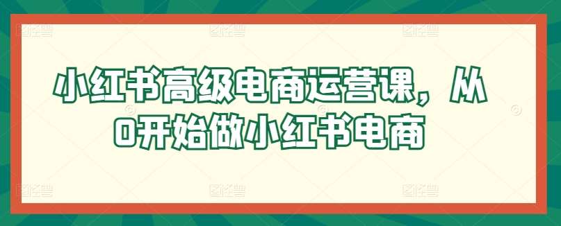小红书高级电商运营课，从0开始做小红书电商-赛德副业库