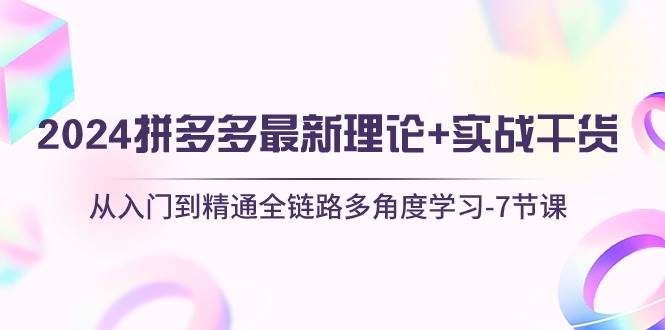 （10816期）2024拼多多 最新理论+实战干货，从入门到精通全链路多角度学习-7节课-赛德副业库