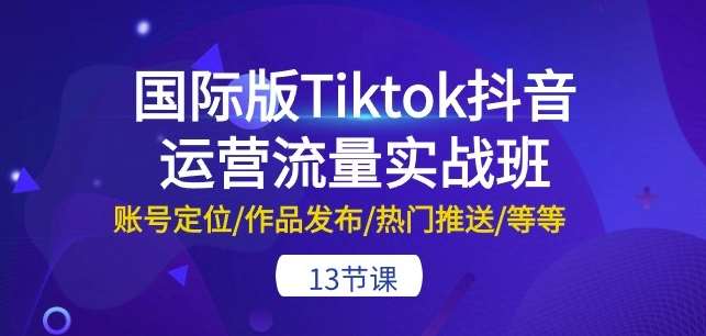 国际版Tiktok抖音运营流量实战班：账号定位/作品发布/热门推送/等等-13节-赛德副业库