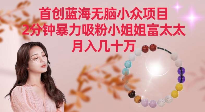 首创蓝海无脑小众项目，2分钟暴力吸粉小姐姐富太太，月入几十万【揭秘】-赛德副业库