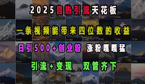 2025自热引流天花板，一条视频能带来四位数的收益，引流+变现双管齐下，日引500+创业粉，涨粉嘎嘎猛-赛德副业库