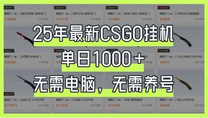 （14178期）25年最新CSGO挂机系统，单日1000+，无需电脑，无需养号，0基础可上手-赛德副业库