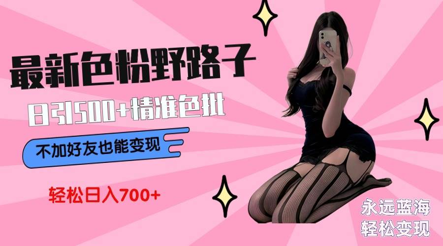 （9119期）最新色粉变现野路子，日引500+老色批 可不加好友直接变现 小白轻松日入700+-赛德副业库