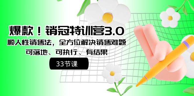 (8573期)爆款!销冠特训营3.0之顺人性销售法,全方位解决销售难题、可落地、可执...-赛德副业库