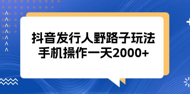 （13220期）抖音发行人野路子玩法，手机操作一天2000+-赛德副业库
