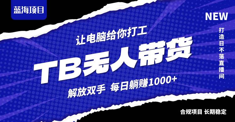 （12742期）淘宝无人直播最新玩法，不违规不封号，轻松月入3W+-赛德副业库