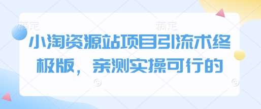 小淘资源站项目引流术终极版,亲测实操可行的-赛德副业库