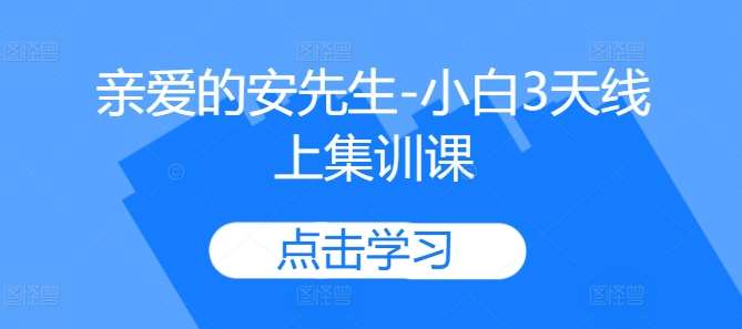 亲爱的安先生-小白3天线上集训课-赛德副业库