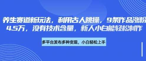 养生赛道新玩法，利用古人跳操，9条作品涨粉4.5W，没有技术含量，新人小白能轻松制作-赛德副业库