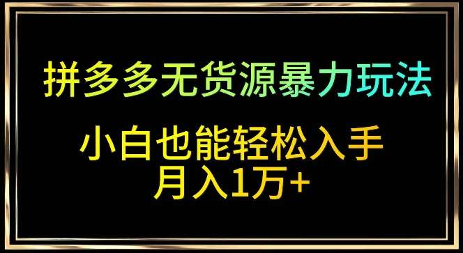 拼多多无货源暴力玩法，全程干货，小白也能轻松入手，月入1万+【揭秘】-赛德副业库