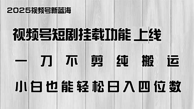（14310期）视频号短剧挂载功能上线，一刀不剪纯搬运，小白也能轻松日入四位数-赛德副业库
