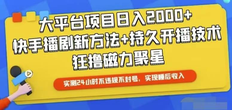 （10694期）快手24小时无人直播，真正实现睡后收益-赛德副业库