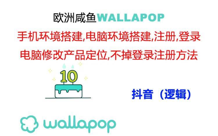 （11549期）wallapop整套详细闭环流程：最稳定封号率低的一个操作账号的办法-赛德副业库