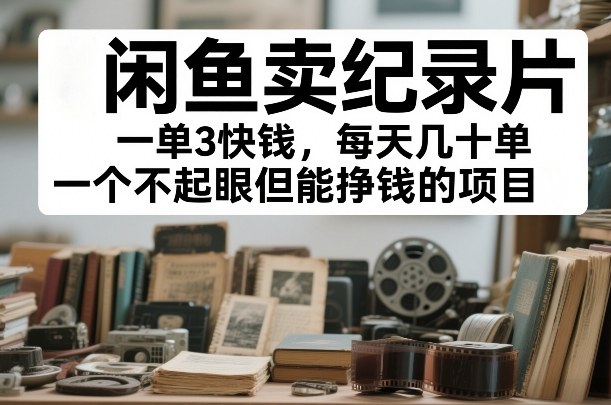 闲鱼卖纪录片,一单3快钱,每天几十单,一个不起眼但能挣钱的项目【揭秘】-赛德副业库