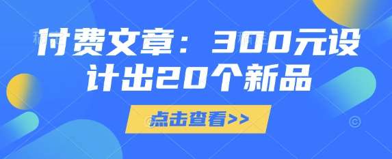 付费文章:300元设计出20个新品-赛德副业库