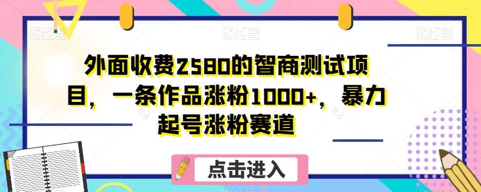 外面收费2580的智商测试项目，一条作品涨粉1000+，暴力起号涨粉赛道【揭秘】-赛德副业库