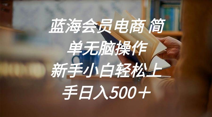 （11068期）蓝海会员电商 简单无脑操作 新手小白轻松上手日入500＋-赛德副业库