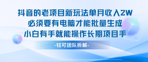 老项目新玩法单月收入2W小白有手就能操作长期项目-赛德副业库