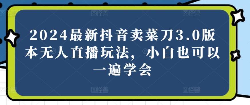 2024最新抖音卖菜刀3.0版本无人直播玩法，小白也可以一遍学会【揭秘】-赛德副业库