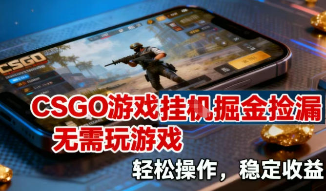 CSGO游戏挂G掘金捡漏,不需要玩游戏,操作简单,收益稳定【揭秘】-赛德副业库