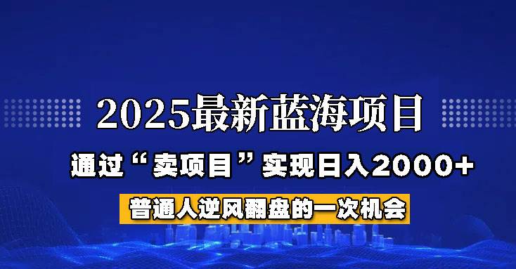 2025年蓝海项目,如何通过“网创项目”日入2000+-赛德副业库