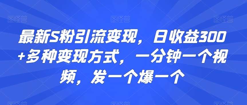 最新S粉引流变现，日收益300+多种变现方式，一分钟一个视频，发一个爆一个【揭秘】-赛德副业库