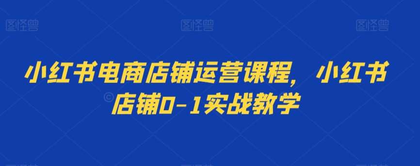 小红书电商店铺运营课程，小红书店铺0-1实战教学-赛德副业库