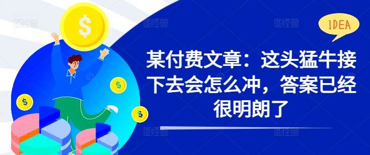 某付费文章：这头猛牛接下去会怎么冲，答案已经很明朗了 !-赛德副业库