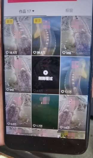 图片[2]-外面卖399的国学佛像原创暴力起号技术，快速起号，7天可达到一个万粉号-赛德副业库