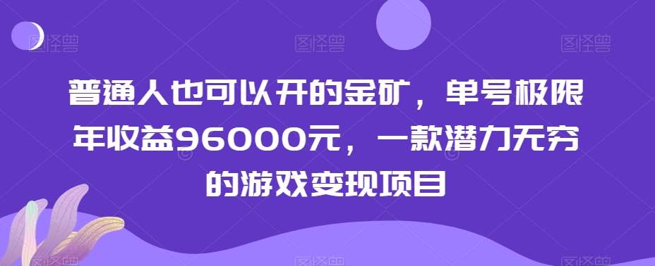 普通人也可以开的金矿，单号极限年收益96000元，一款潜力无穷的游戏变现项目【揭秘】-赛德副业库