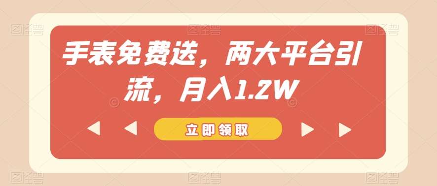 手表免费送,两大平台引流,月入1.2W【揭秘】-赛德副业库