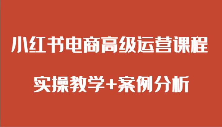 小红书电商高级运营课程 实操教学+案例分析-赛德副业库
