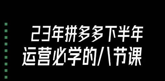 大牙·23年下半年拼多多运营必学的八节课（18节完整）-赛德副业库