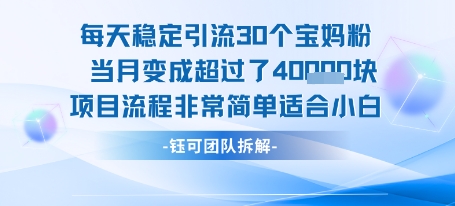 每天稳定引流30个人 当月变成超过了4个W项目流程非常简单适合小白-赛德副业库