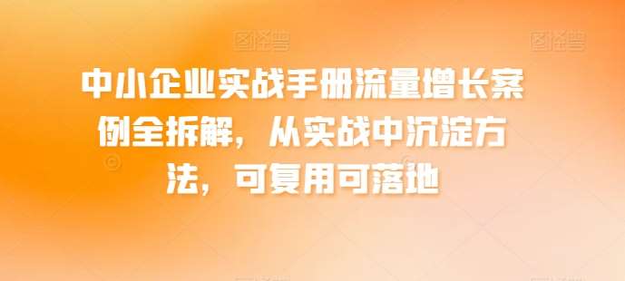中小企业实战手册流量增长案例全拆解，从实战中沉淀方法，可复用可落地-赛德副业库
