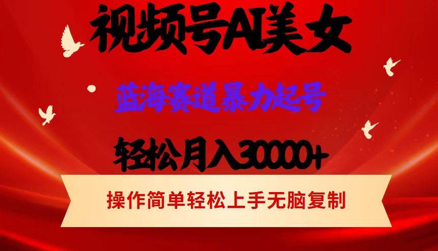（12178期）视频号AI美女跳舞，轻松月入30000+，蓝海赛道，流量池巨大，起号猛，当…-赛德副业库