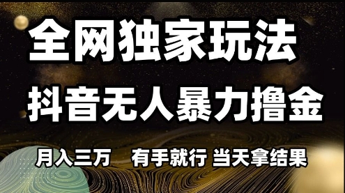 全网独家玩法抖音无人暴力撸金,月入3W,有手就行,当天拿结果【揭秘】-赛德副业库