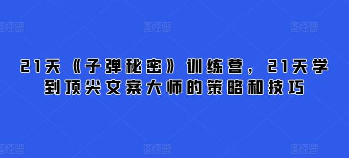 21天《子弹秘密》训练营,21天学到顶尖文案大师的策略和技巧-赛德副业库