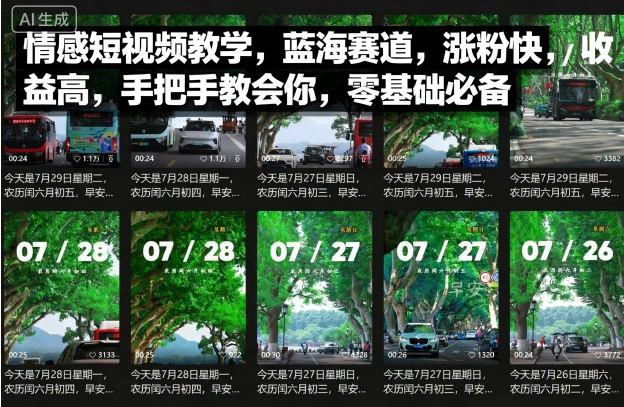 情感短视频教学，蓝海赛道，涨粉快，收益高，手把手教会你，零基础必备-赛德副业库