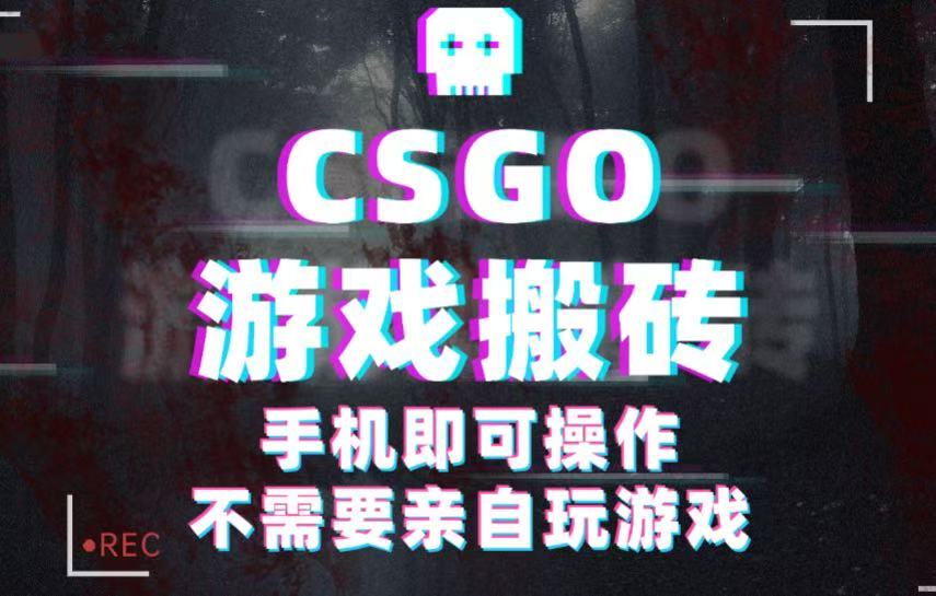 CSGO游戏挂机捡漏，单日扫货500+，年底小高峰上车可吃肉，手机即可操作兼职副业-赛德副业库
