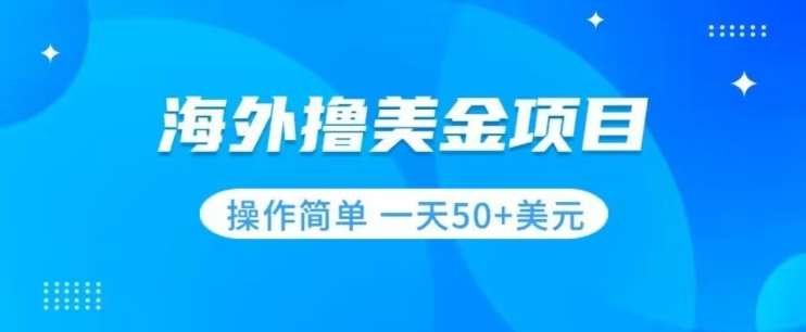 撸美金项目无门槛操作简单小白一天50+美刀-赛德副业库