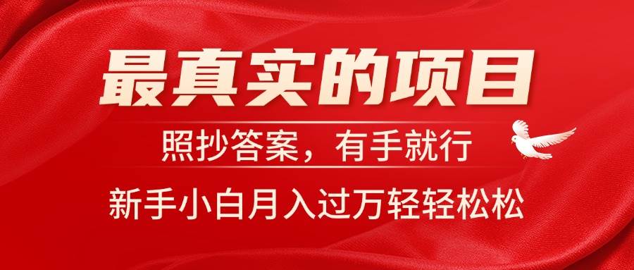 （11362期）最真实的项目，照抄答案，有手就行，新手小白月入过万轻轻松松-赛德副业库