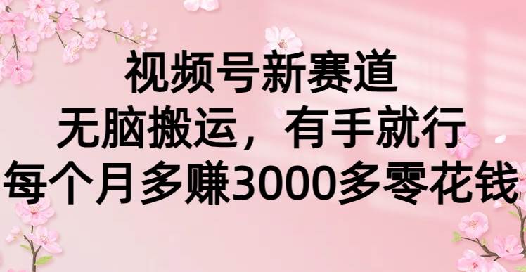 （9278期）视频号新赛道，无脑搬运，有手就行，每个月多赚3000多零花钱-赛德副业库