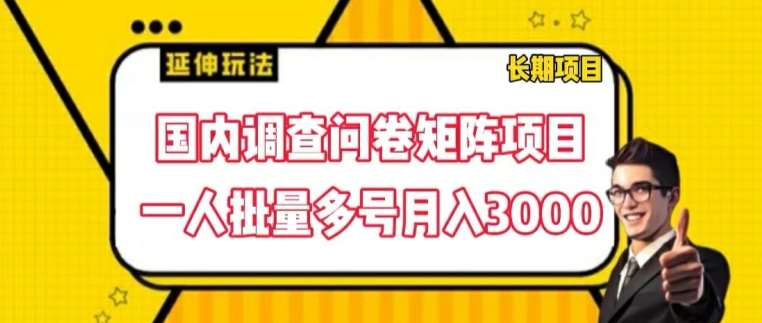 国内调查问卷矩阵项目，一人批量多号月入3000【揭秘】-赛德副业库