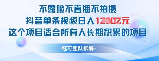 不露脸不直播不拍摄抖音单条视频日入1k+这个项目适合所有人长期积累的项目-赛德副业库