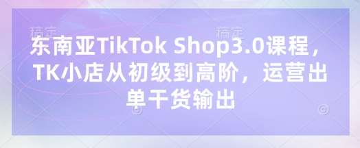 东南亚TikTok Shop3.0课程，TK小店​从初级到高阶，运营出单干货输出-赛德副业库