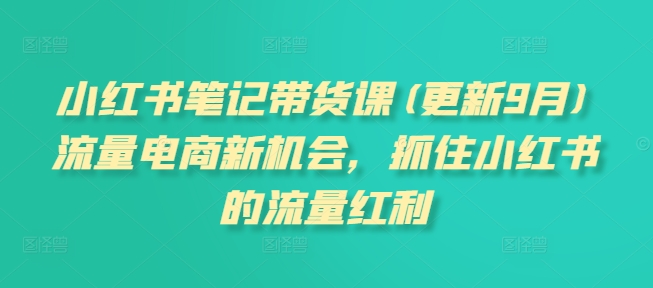 小红书笔记带货课(更新25年5月)流量电商新机会,抓住小红书的流量红利-赛德副业库